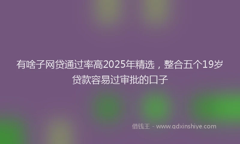 有啥子网贷通过率高2025年精选，整合五个19岁贷款容易过审批的口子