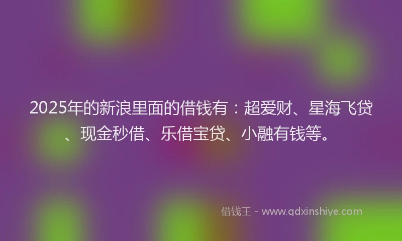 2025年的新浪里面的借钱有：超爱财、星海飞贷、现金秒借、乐借宝贷、小融有钱等。