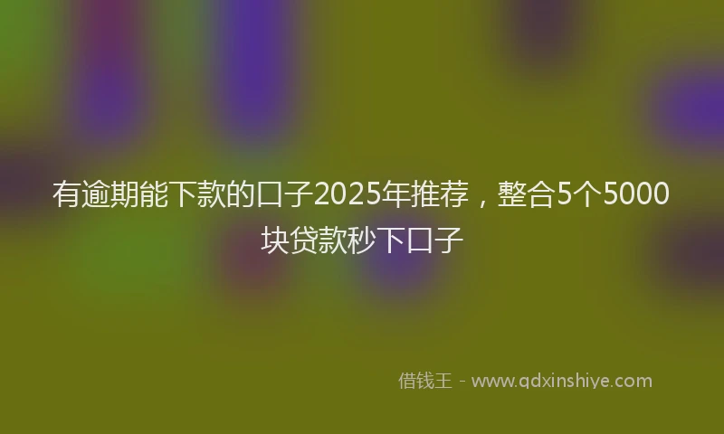 有逾期能下款的口子2025年推荐，整合5个5000块贷款秒下口子
