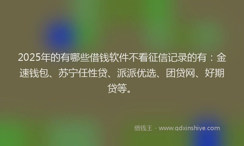 2025年的有哪些借钱软件不看征信记录的有：金速钱包、苏宁任性贷、派派优选、团贷网、好期贷等。