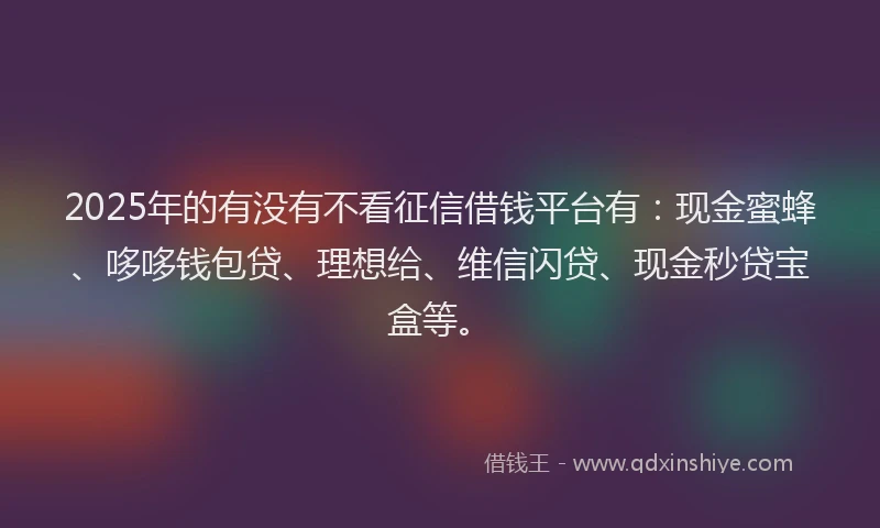 2025年的有没有不看征信借钱平台有：现金蜜蜂、哆哆钱包贷、理想给、维信闪贷、现金秒贷宝盒等。