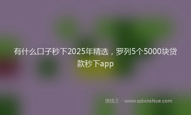 有什么口子秒下2025年精选，罗列5个5000块贷款秒下app
