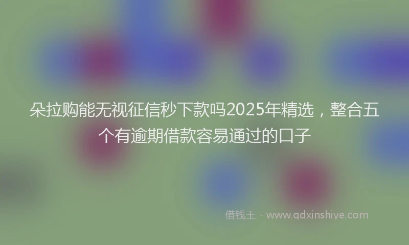 朵拉购能无视征信秒下款吗2025年精选，整合五个有逾期借款容易通过的口子