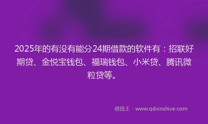 2025年的有没有能分24期借款的软件有：招联好期贷、金悦宝钱包、福瑞钱包、小米贷、腾讯微粒贷等。