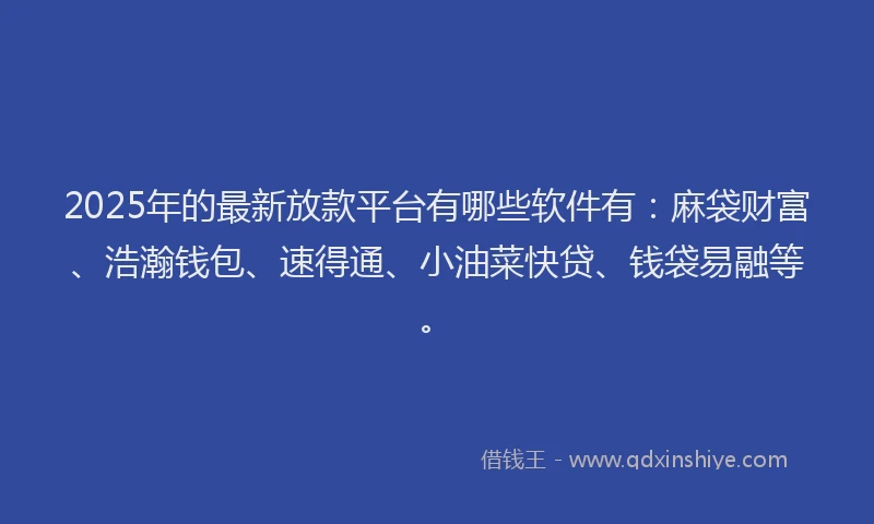 2025年的最新放款平台有哪些软件有：麻袋财富、浩瀚钱包、速得通、小油菜快贷、钱袋易融等。