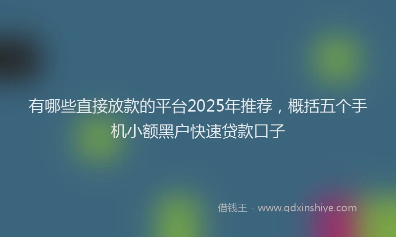 有哪些直接放款的平台2025年推荐，概括五个手机小额黑户快速贷款口子