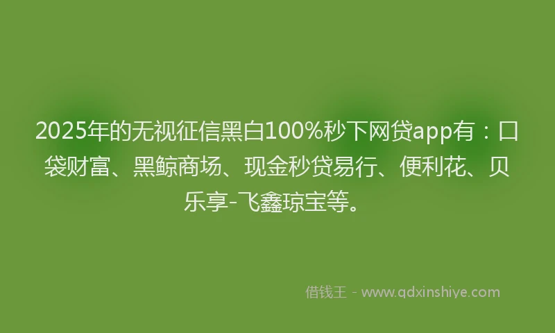 2025年的无视征信黑白100%秒下网贷app有：口袋财富、黑鲸商场、现金秒贷易行、便利花、贝乐享-飞鑫琼宝等。
