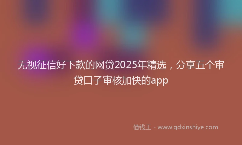 无视征信好下款的网贷2025年精选，分享五个审贷口子审核加快的app