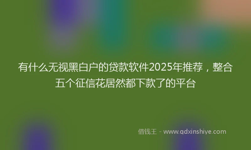 有什么无视黑白户的贷款软件2025年推荐，整合五个征信花居然都下款了的平台