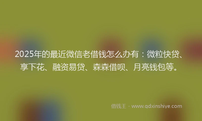2025年的最近微信老借钱怎么办有：微粒快贷、享下花、融资易贷、森森借呗、月亮钱包等。