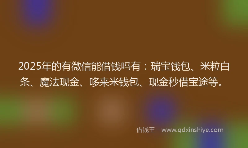 2025年的有微信能借钱吗有：瑞宝钱包、米粒白条、魔法现金、哆来米钱包、现金秒借宝途等。