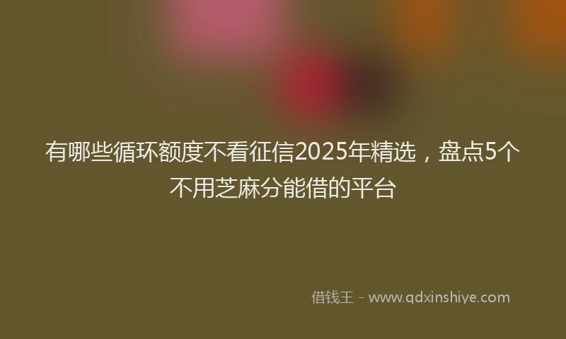 有哪些循环额度不看征信2025年精选，盘点5个不用芝麻分能借的平台