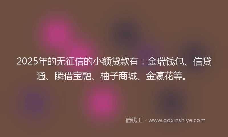 2025年的无征信的小额贷款有：金瑞钱包、信贷通、瞬借宝融、柚子商城、金瀛花等。