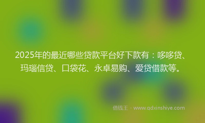 2025年的最近哪些贷款平台好下款有：哆哆贷、玛瑙信贷、口袋花、永卓易购、爱贷借款等。
