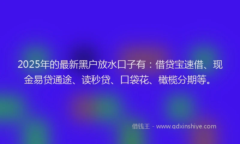 2025年的最新黑户放水口子有：借贷宝速借、现金易贷通途、读秒贷、口袋花、橄榄分期等。