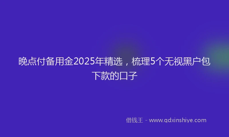 晚点付备用金2025年精选，梳理5个无视黑户包下款的口子