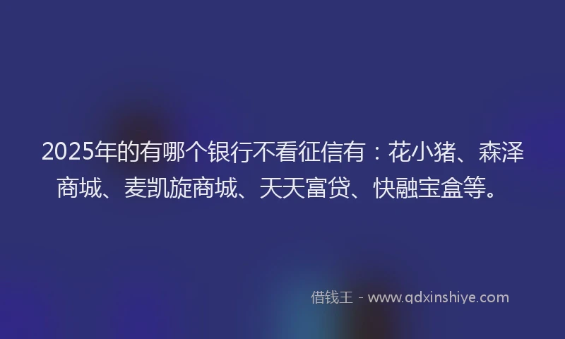 2025年的有哪个银行不看征信有：花小猪、森泽商城、麦凯旋商城、天天富贷、快融宝盒等。