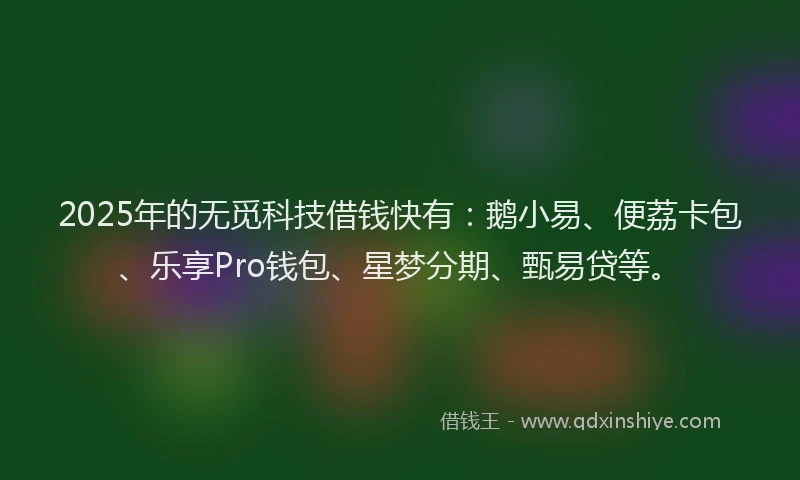 2025年的无觅科技借钱快有：鹅小易、便荔卡包、乐享Pro钱包、星梦分期、甄易贷等。