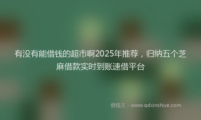 有没有能借钱的超市啊2025年推荐，归纳五个芝麻借款实时到账速借平台