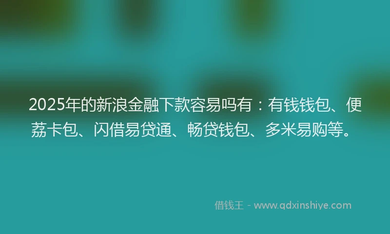 2025年的新浪金融下款容易吗有：有钱钱包、便荔卡包、闪借易贷通、畅贷钱包、多米易购等。