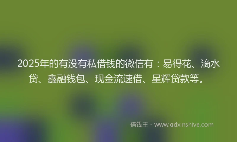 2025年的有没有私借钱的微信有：易得花、滴水贷、鑫融钱包、现金流速借、星辉贷款等。