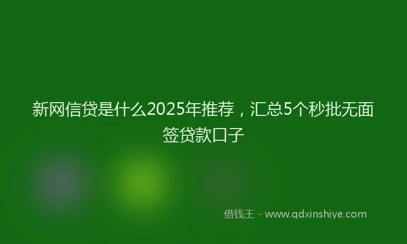 新网信贷是什么2025年推荐，汇总5个秒批无面签贷款口子