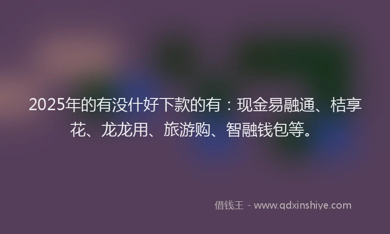 2025年的有没什好下款的有：现金易融通、桔享花、龙龙用、旅游购、智融钱包等。