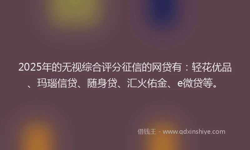 2025年的无视综合评分征信的网贷有：轻花优品、玛瑙信贷、随身贷、汇火佑金、e微贷等。