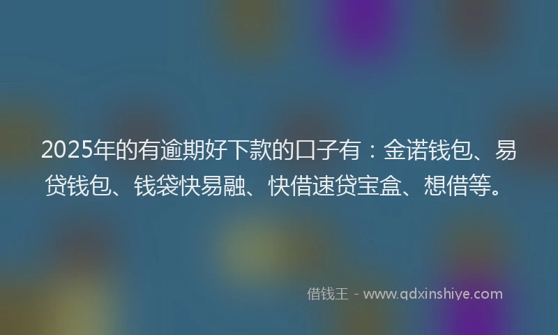 2025年的有逾期好下款的口子有：金诺钱包、易贷钱包、钱袋快易融、快借速贷宝盒、想借等。