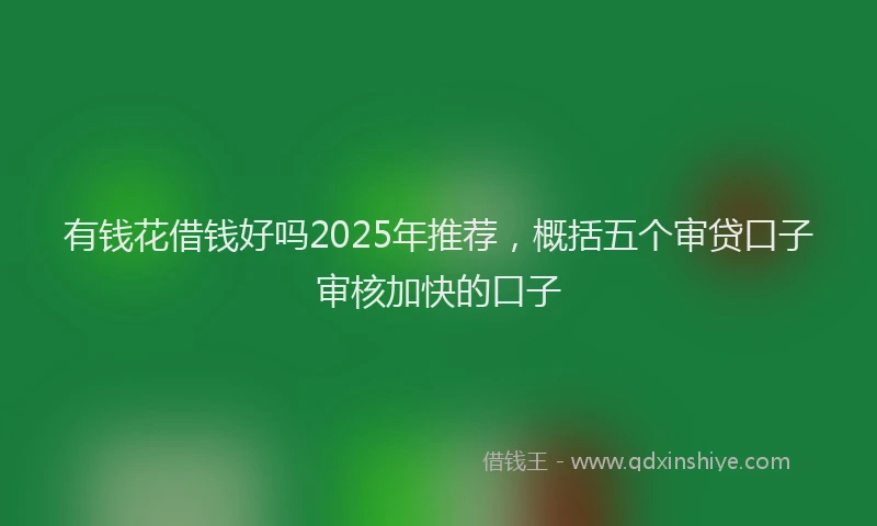 有钱花借钱好吗2025年推荐，概括五个审贷口子审核加快的口子