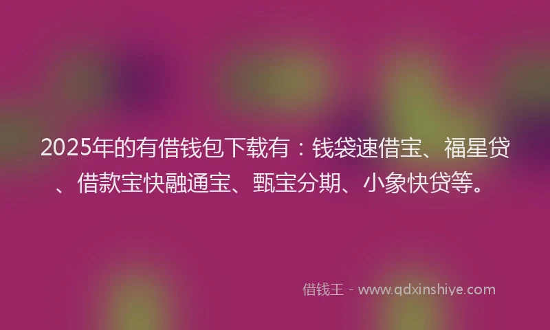 2025年的有借钱包下载有：钱袋速借宝、福星贷、借款宝快融通宝、甄宝分期、小象快贷等。