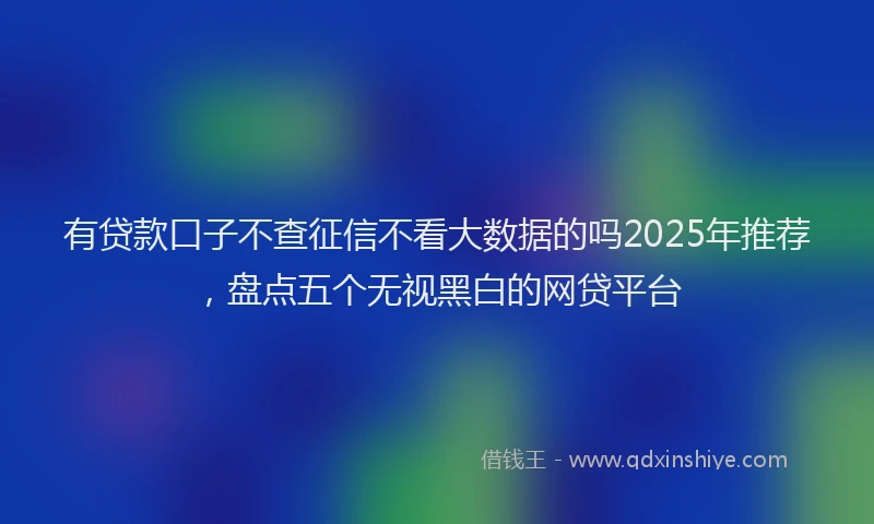 有贷款口子不查征信不看大数据的吗2025年推荐，盘点五个无视黑白的网贷平台
