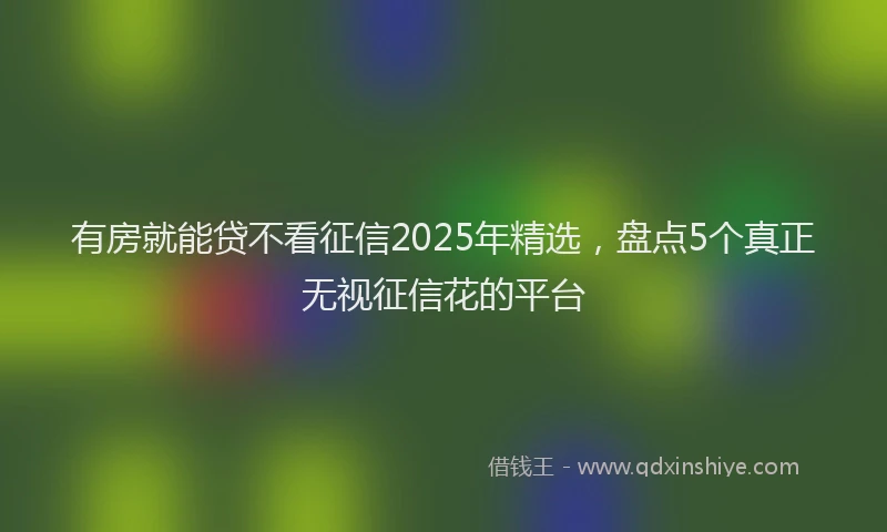 有房就能贷不看征信2025年精选，盘点5个真正无视征信花的平台