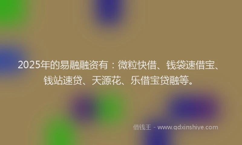 2025年的易融融资有：微粒快借、钱袋速借宝、钱站速贷、天源花、乐借宝贷融等。