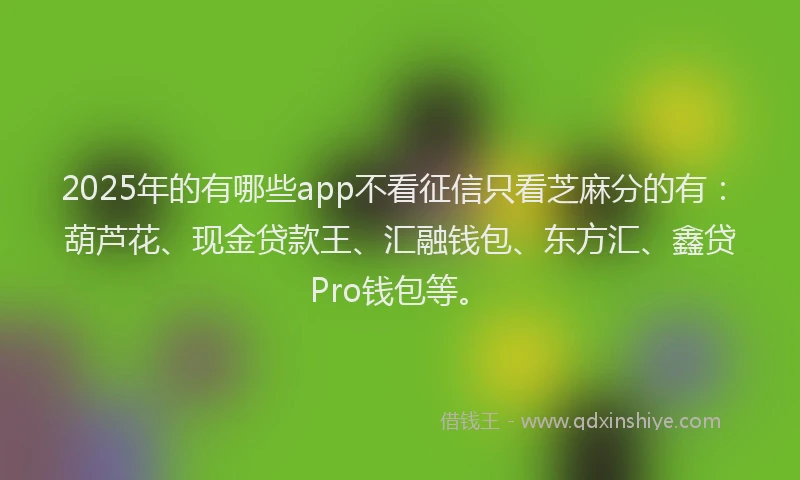 2025年的有哪些app不看征信只看芝麻分的有：葫芦花、现金贷款王、汇融钱包、东方汇、鑫贷Pro钱包等。