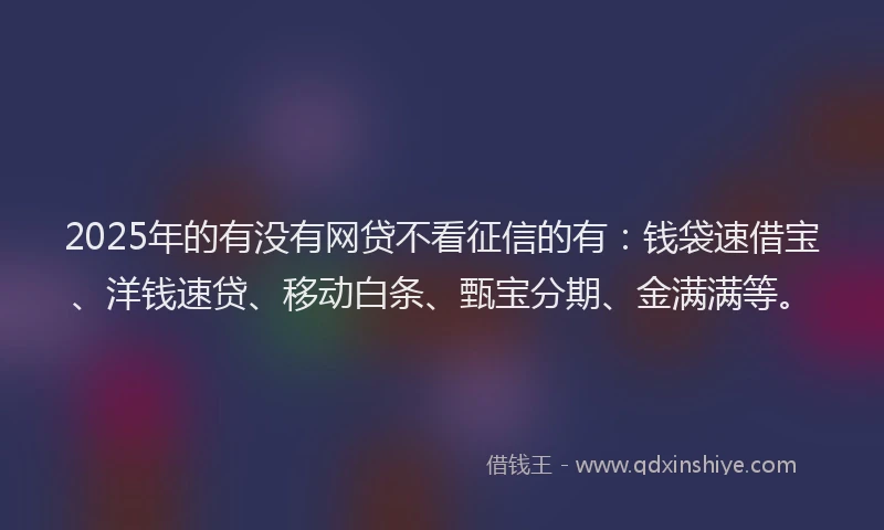 2025年的有没有网贷不看征信的有：钱袋速借宝、洋钱速贷、移动白条、甄宝分期、金满满等。