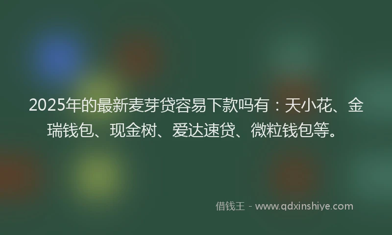 2025年的最新麦芽贷容易下款吗有：天小花、金瑞钱包、现金树、爱达速贷、微粒钱包等。