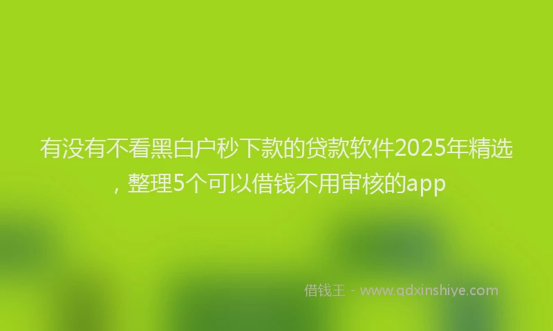 有没有不看黑白户秒下款的贷款软件2025年精选，整理5个可以借钱不用审核的app