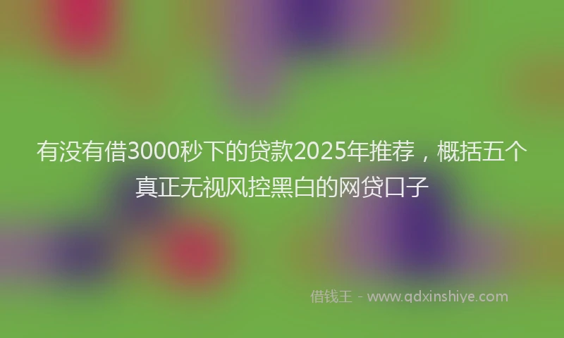 有没有借3000秒下的贷款2025年推荐，概括五个真正无视风控黑白的网贷口子