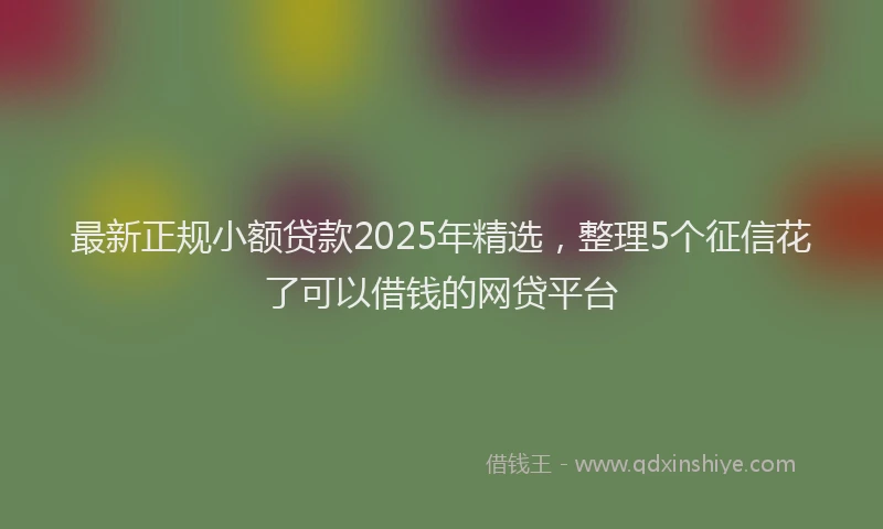 最新正规小额贷款2025年精选，整理5个征信花了可以借钱的网贷平台