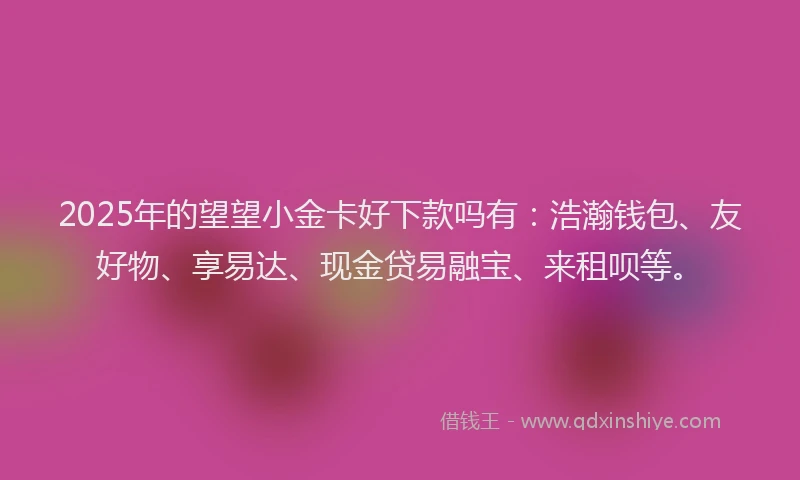 2025年的望望小金卡好下款吗有：浩瀚钱包、友好物、享易达、现金贷易融宝、来租呗等。