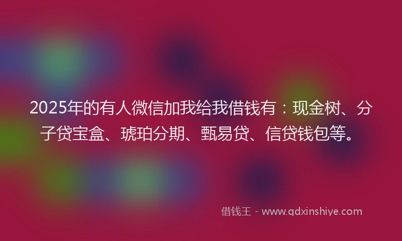 2025年的有人微信加我给我借钱有：现金树、分子贷宝盒、琥珀分期、甄易贷、信贷钱包等。