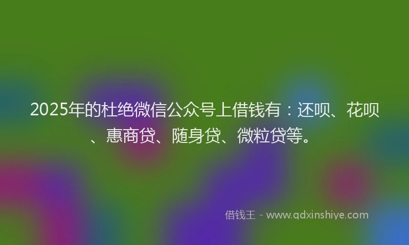 2025年的杜绝微信公众号上借钱有：还呗、花呗、惠商贷、随身贷、微粒贷等。
