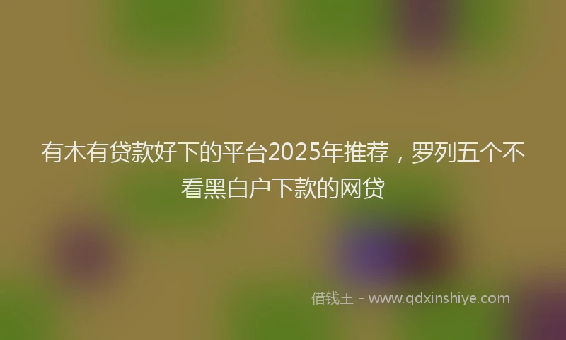 有木有贷款好下的平台2025年推荐，罗列五个不看黑白户下款的网贷