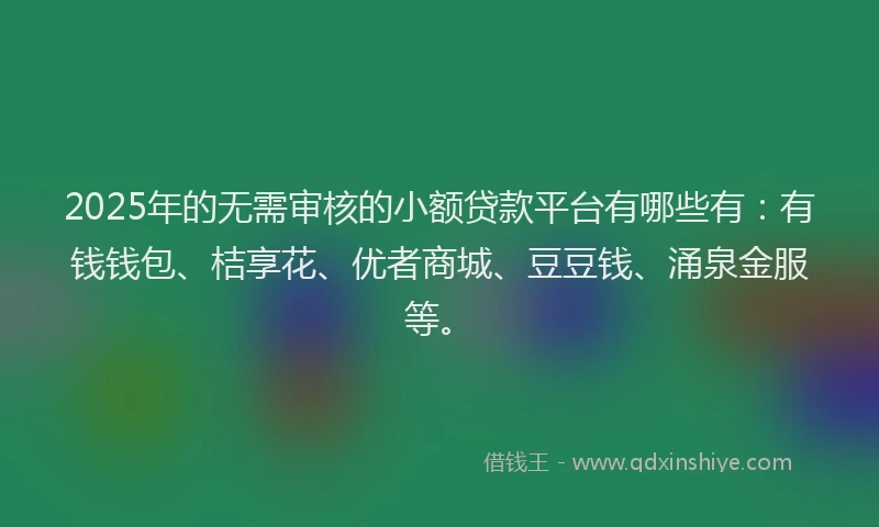 2025年的无需审核的小额贷款平台有哪些有：有钱钱包、桔享花、优者商城、豆豆钱、涌泉金服等。
