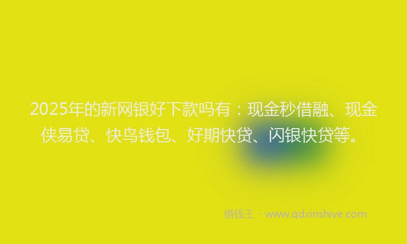 2025年的新网银好下款吗有：现金秒借融、现金侠易贷、快鸟钱包、好期快贷、闪银快贷等。