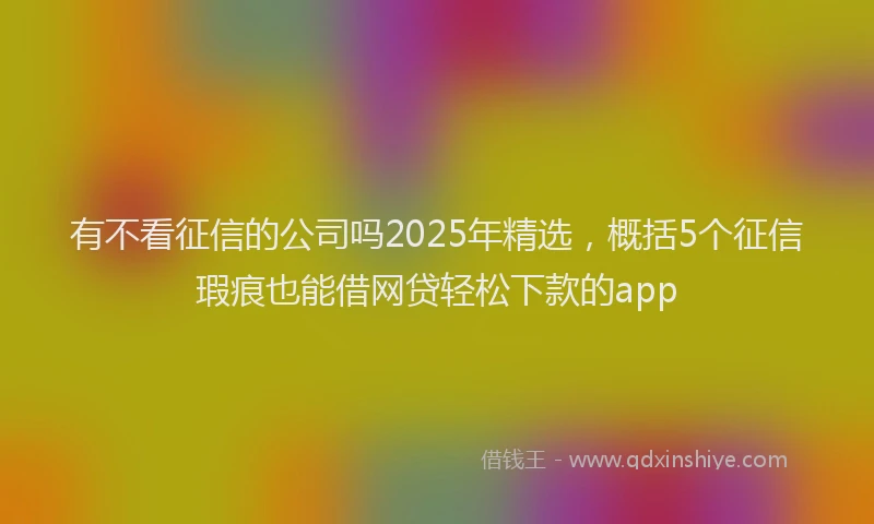 有不看征信的公司吗2025年精选，概括5个征信瑕疵也能借网贷轻松下款的app
