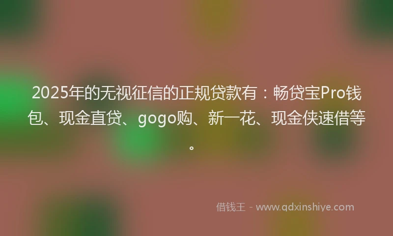 2025年的无视征信的正规贷款有：畅贷宝Pro钱包、现金直贷、gogo购、新一花、现金侠速借等。