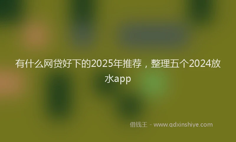 有什么网贷好下的2025年推荐，整理五个2024放水app