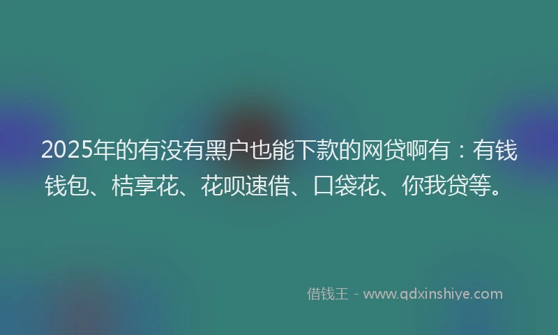 2025年的有没有黑户也能下款的网贷啊有：有钱钱包、桔享花、花呗速借、口袋花、你我贷等。